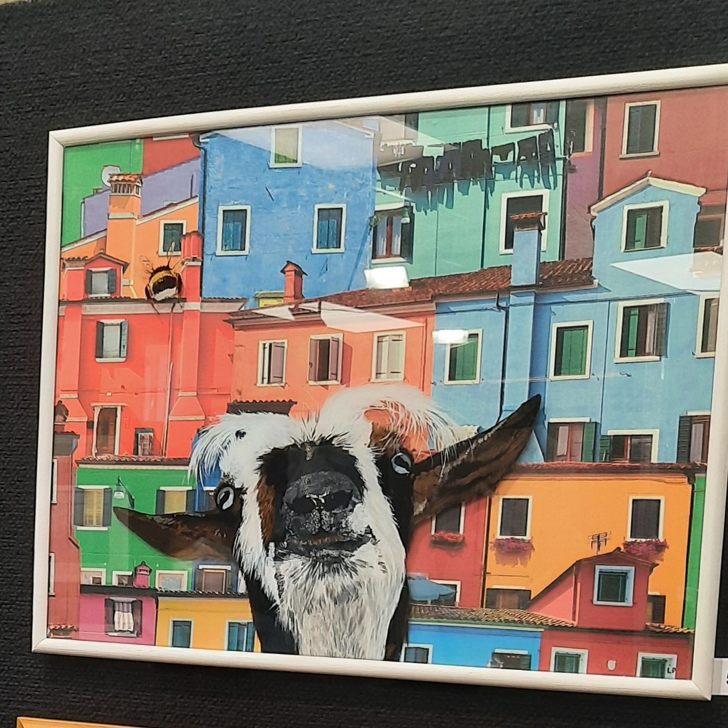 Goat In The City 43CM X 31CM