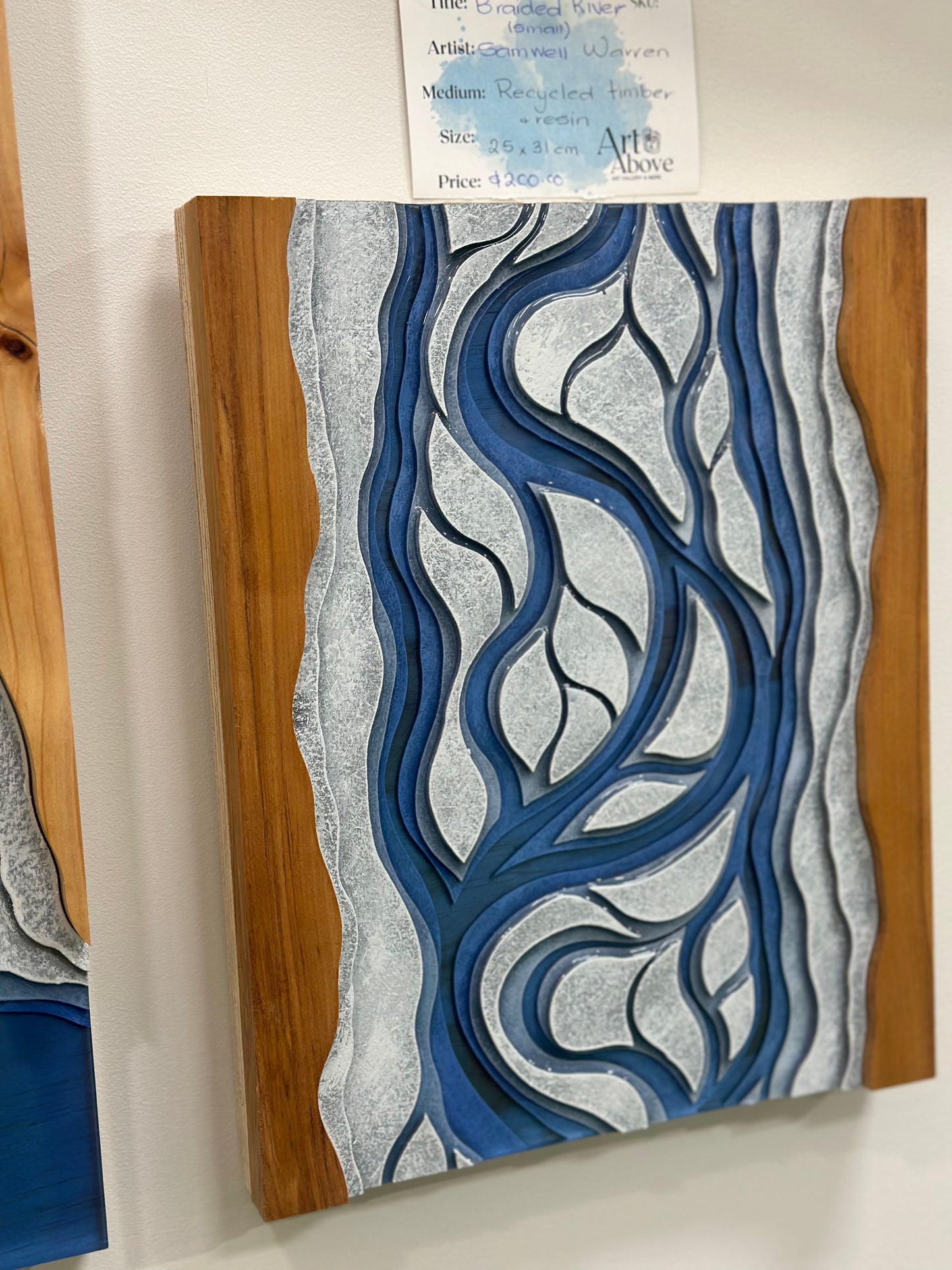 Braided River SMALL2 ***art***sw