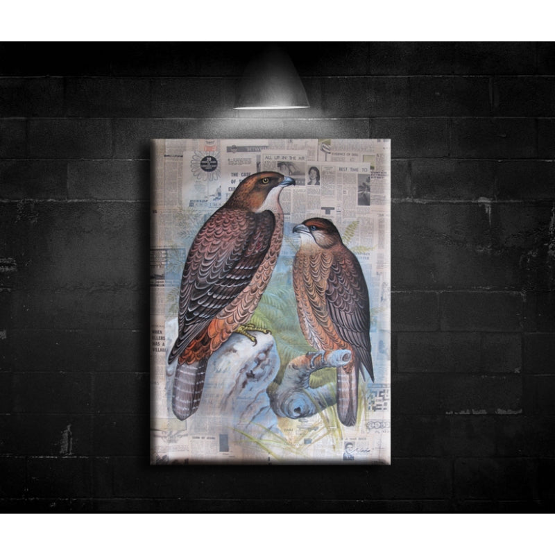 NZ Falcon - Unframed 70CM X 110CM